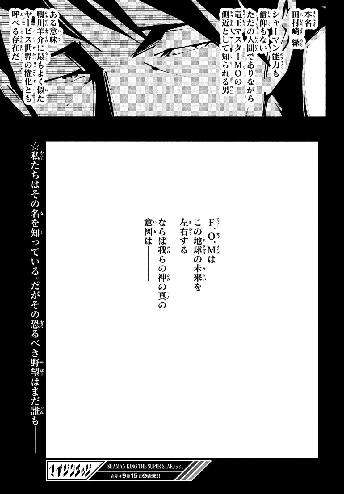 Shaman King: The Super Star 第40話 - Page 31