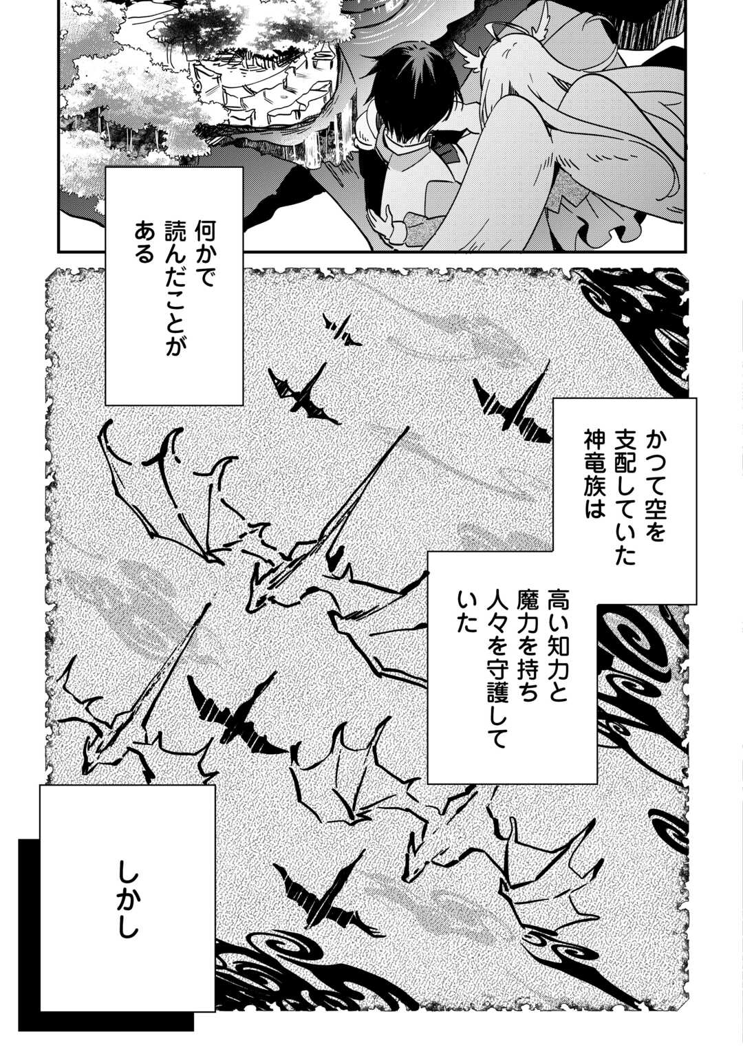 トカゲ（本当は神竜）を召喚した聖獣使い、竜の背中で開拓ライフ 第1.2話 - Page 22