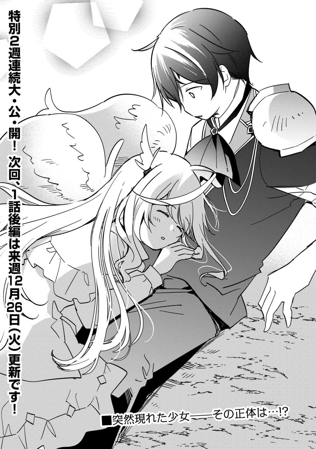 トカゲ（本当は神竜）を召喚した聖獣使い、竜の背中で開拓ライフ 第1.1話 - Page 45