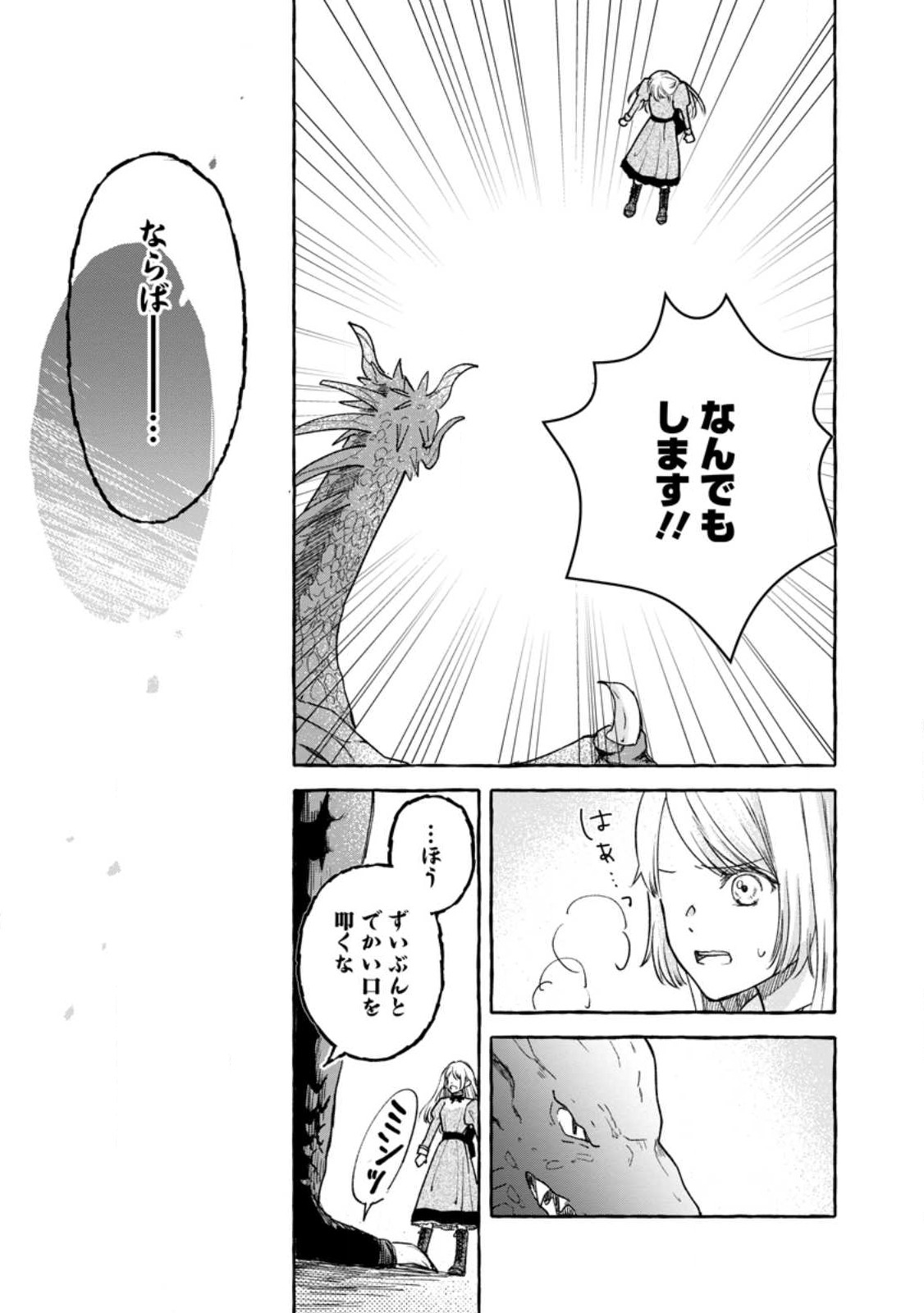 お試しで喚ばれた聖女なのに最強竜に気に入られてしまいました。 第2.2話 - Page 3