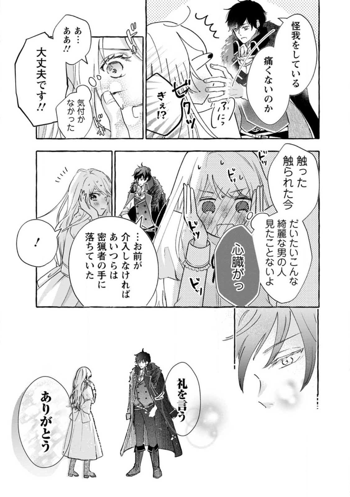 お試しで喚ばれた聖女なのに最強竜に気に入られてしまいました。 第3.3話 - Page 5