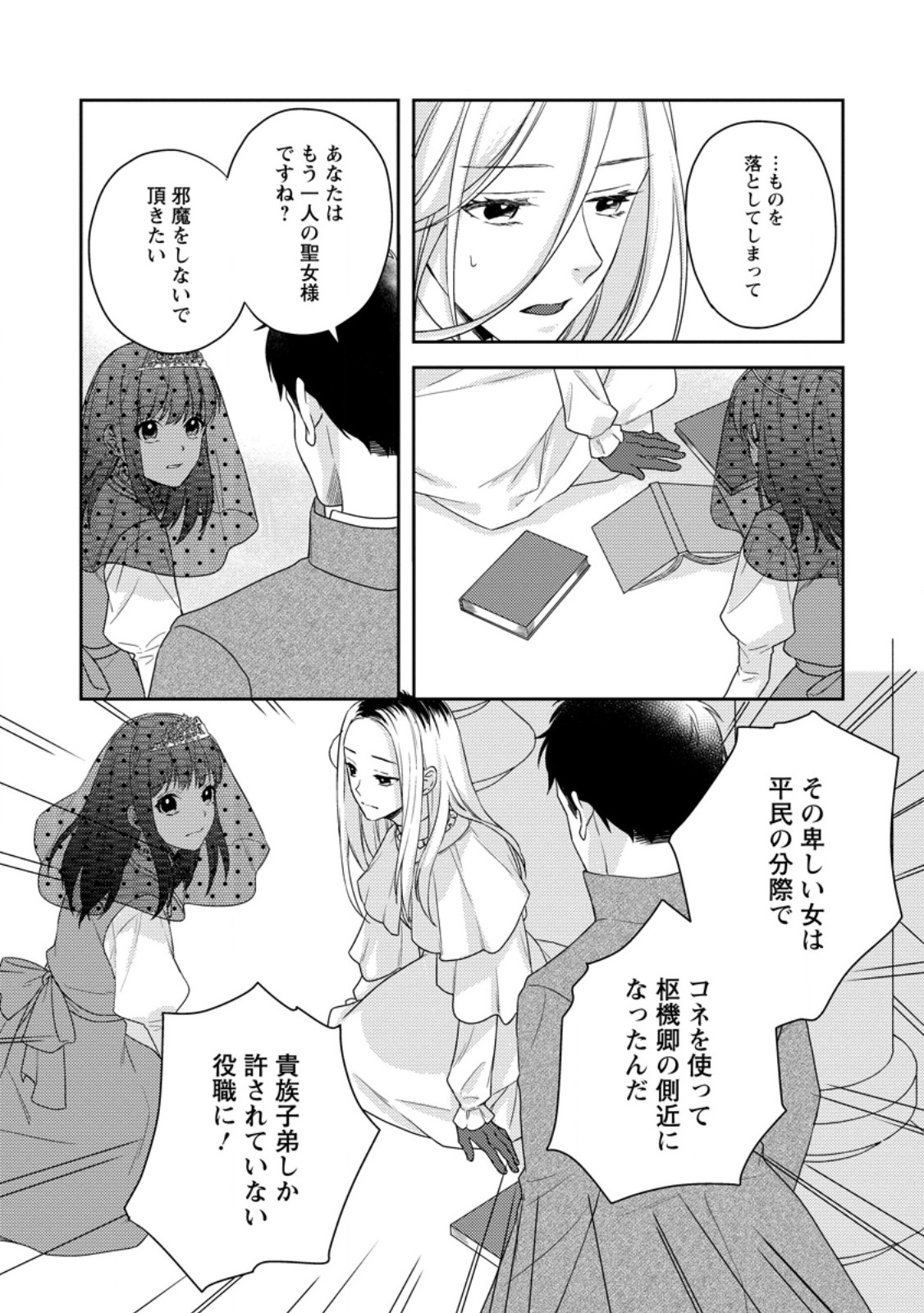 ヴェールの聖女 ～醜いと誤解された聖女、イケメン護衛騎士に溺愛される～ 第2.2話 - Page 5