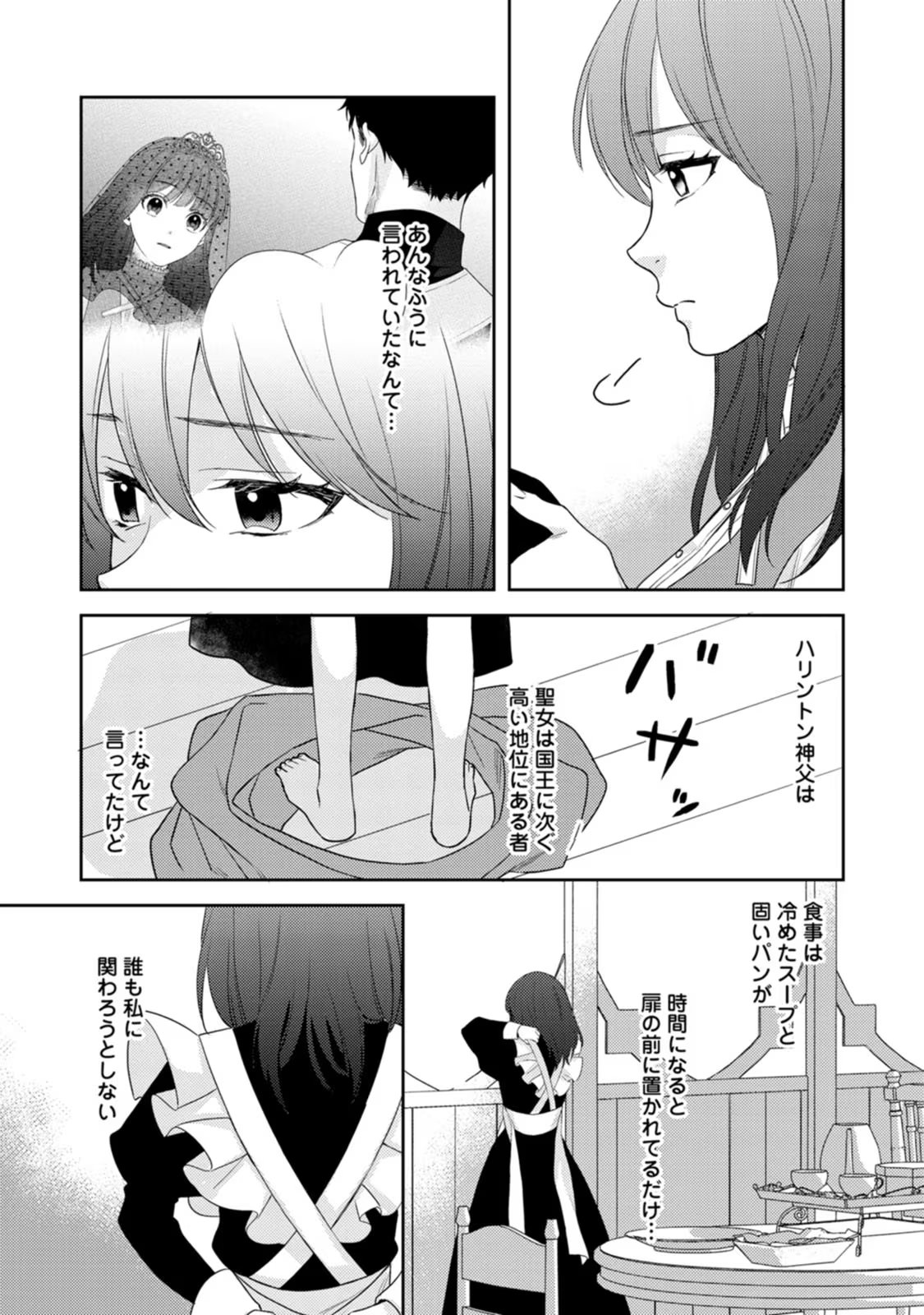 ヴェールの聖女 ～醜いと誤解された聖女、イケメン護衛騎士に溺愛される～ 第3話 - Page 5