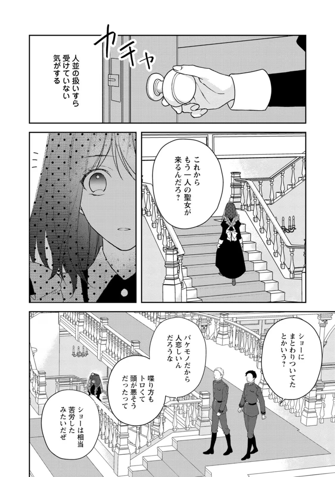 ヴェールの聖女 ～醜いと誤解された聖女、イケメン護衛騎士に溺愛される～ 第3話 - Page 6