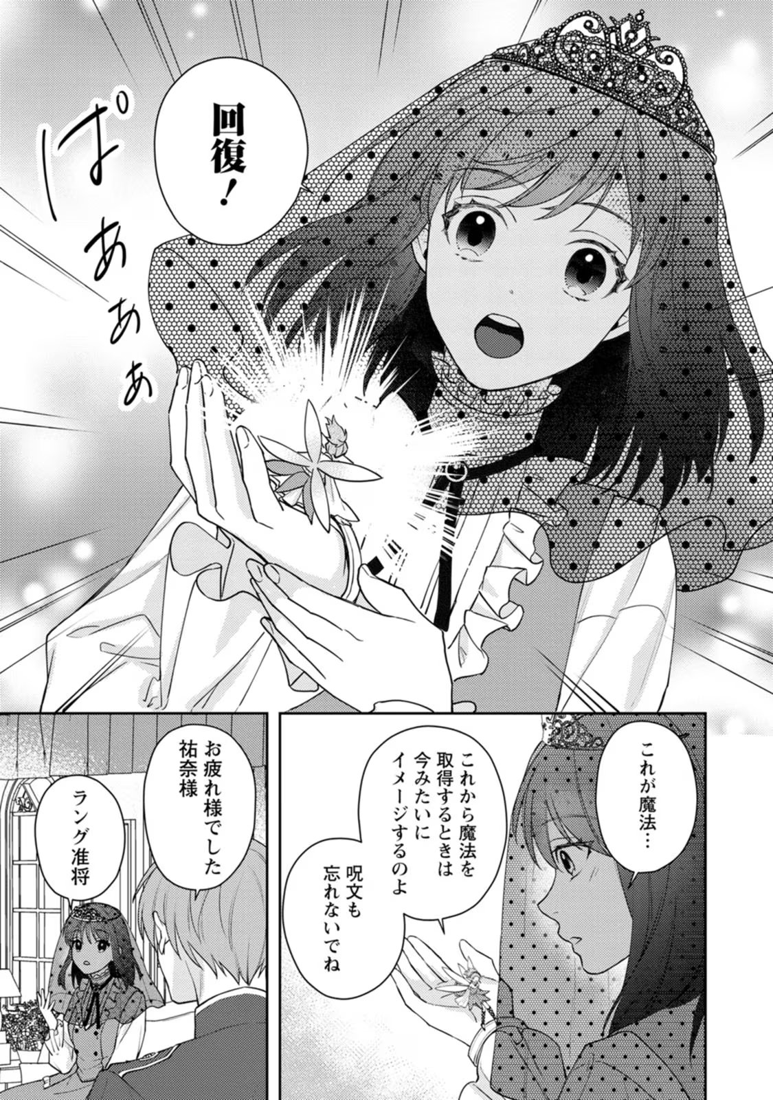 ヴェールの聖女 ～醜いと誤解された聖女、イケメン護衛騎士に溺愛される～ 第5話 - Page 29