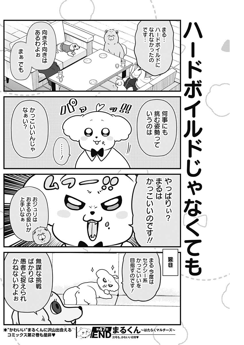 まるくん～はたらくマルチーズ～ 第47話 - Page 9