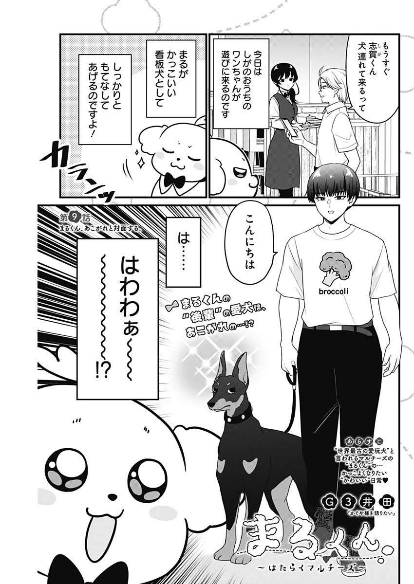 まるくん～はたらくマルチーズ～ 第9話 - Page 1