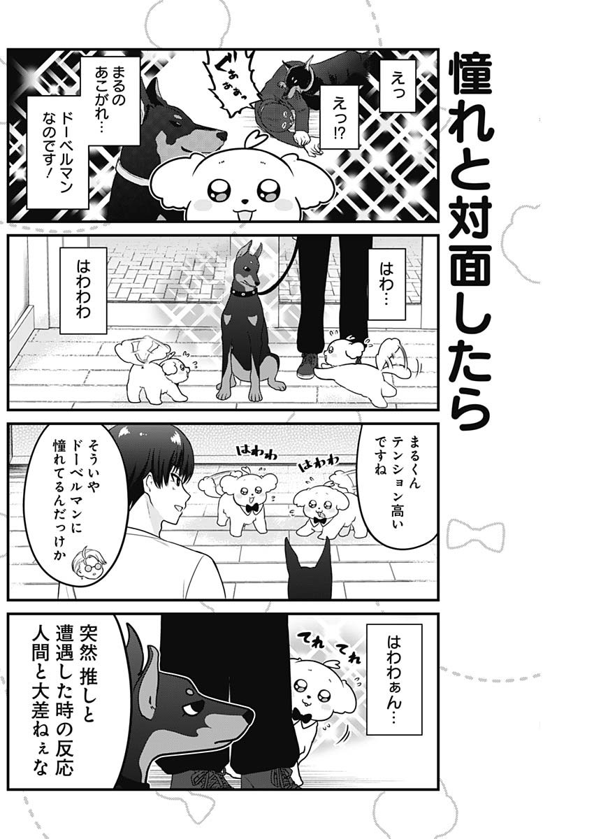 まるくん～はたらくマルチーズ～ 第9話 - Page 2