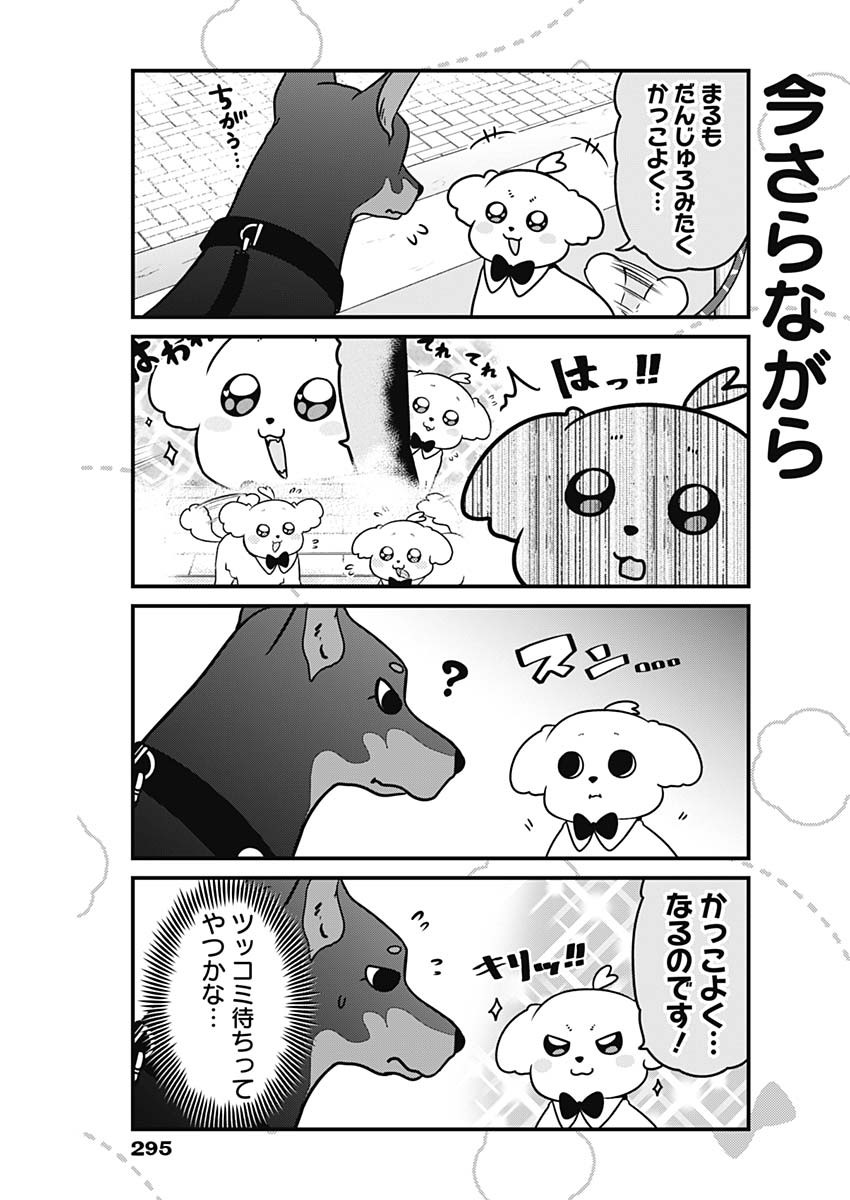 まるくん～はたらくマルチーズ～ 第9話 - Page 7