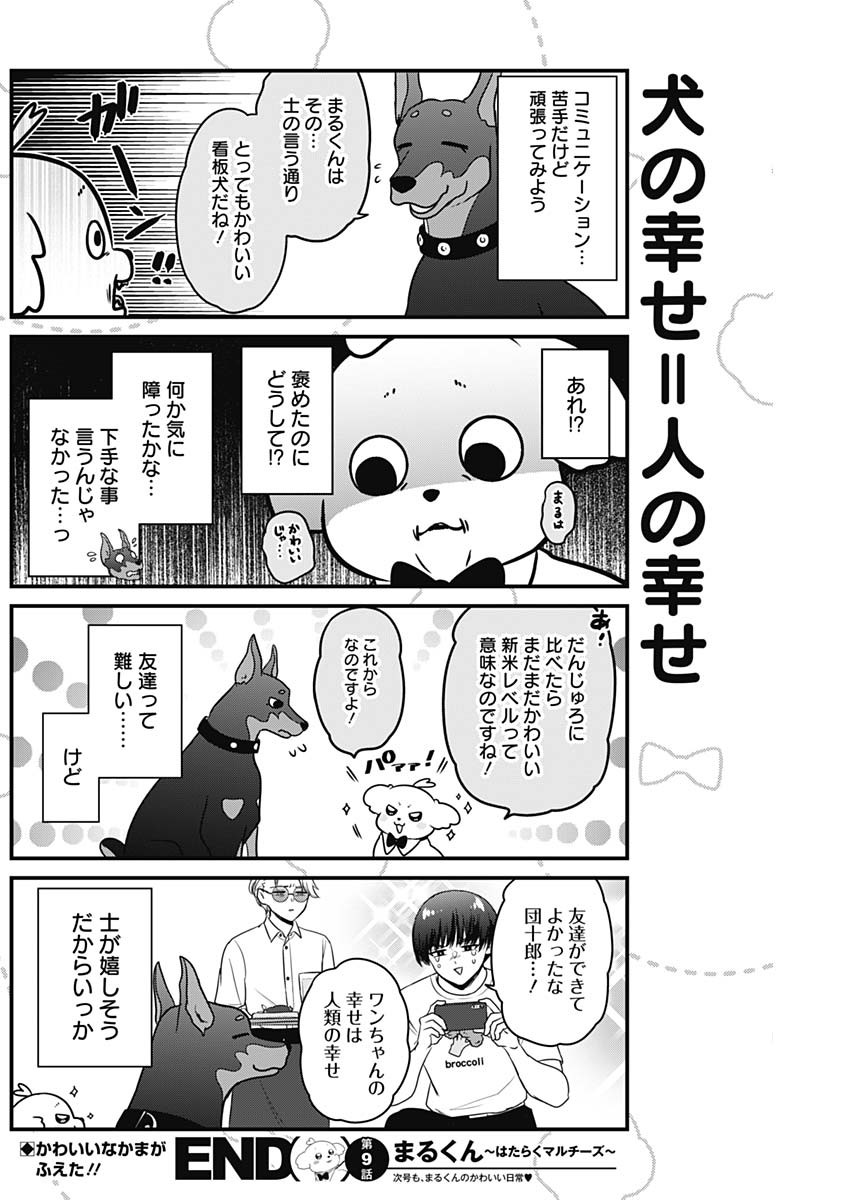 まるくん～はたらくマルチーズ～ 第9話 - Page 8