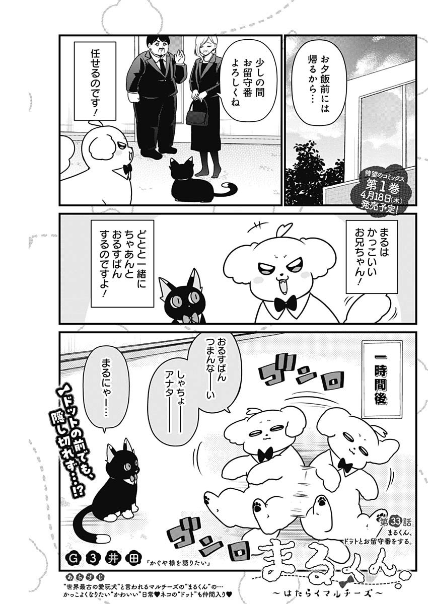 まるくん～はたらくマルチーズ～ 第33話 - Page 1