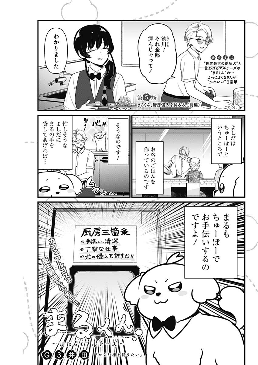 まるくん～はたらくマルチーズ～ 第5話 - Page 1