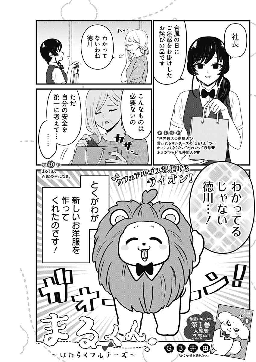 まるくん～はたらくマルチーズ～ 第40話 - Page 1