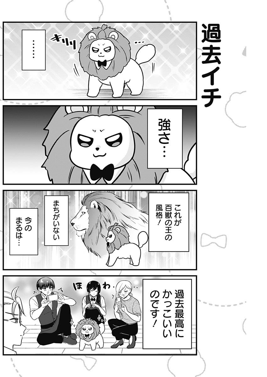 まるくん～はたらくマルチーズ～ 第40話 - Page 2