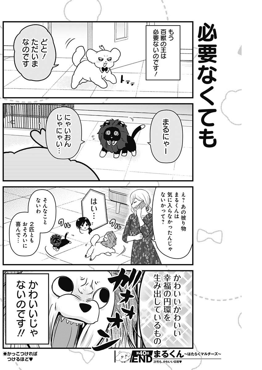 まるくん～はたらくマルチーズ～ 第40話 - Page 8