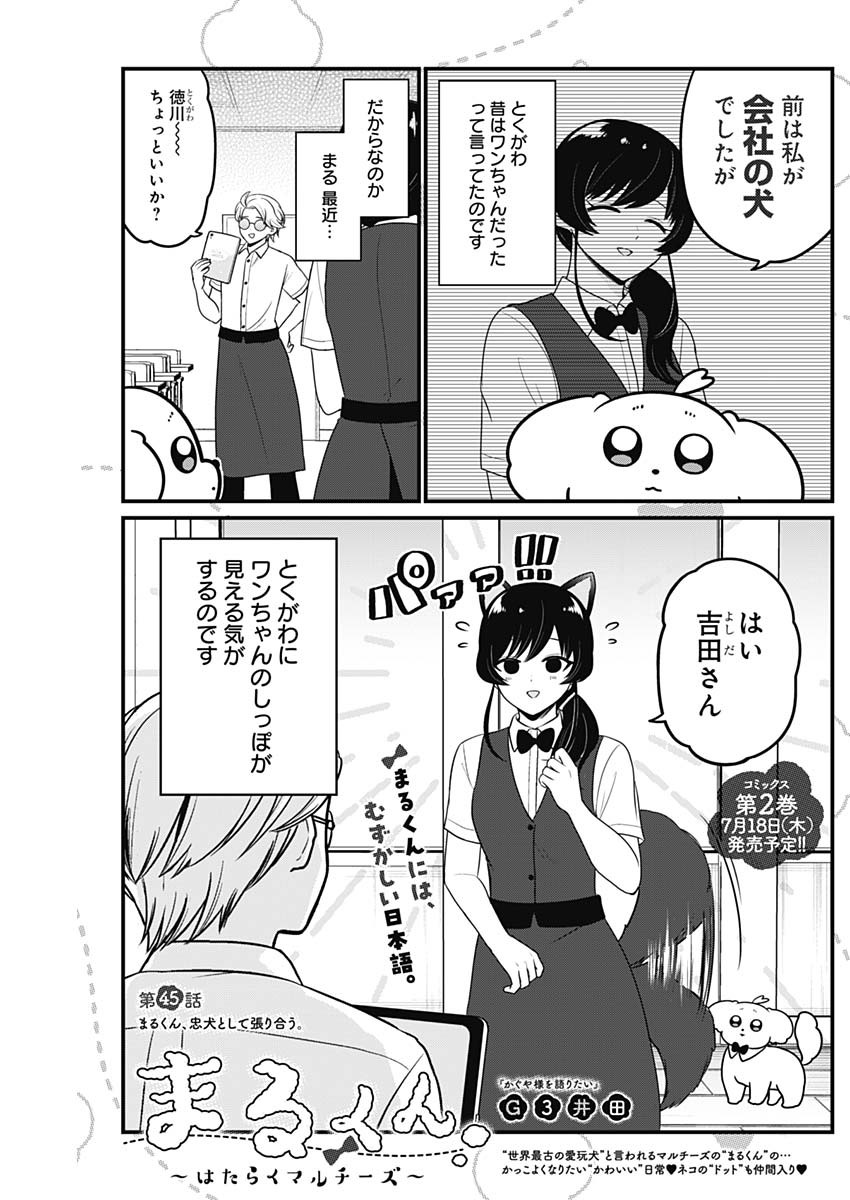 まるくん～はたらくマルチーズ～ 第45話 - Page 1