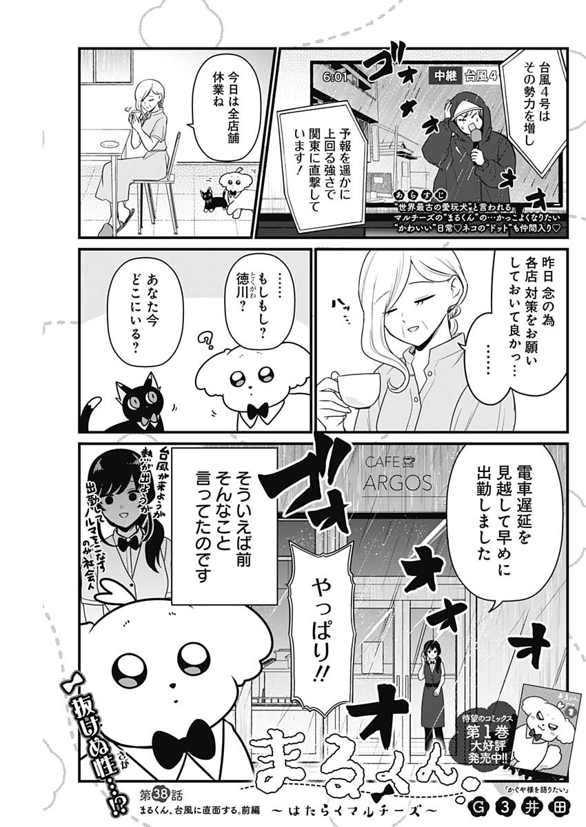 まるくん～はたらくマルチーズ～ 第38話 - Page 1