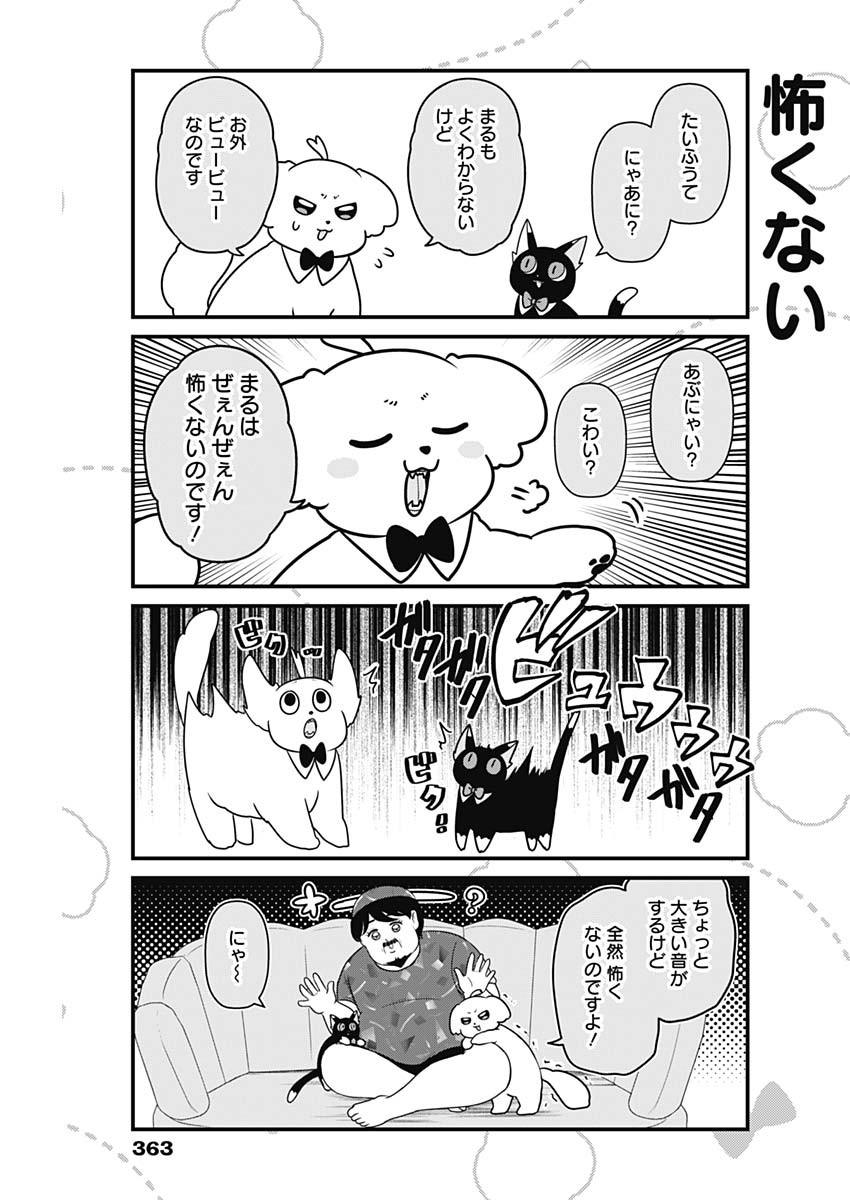 まるくん～はたらくマルチーズ～ 第38話 - Page 3