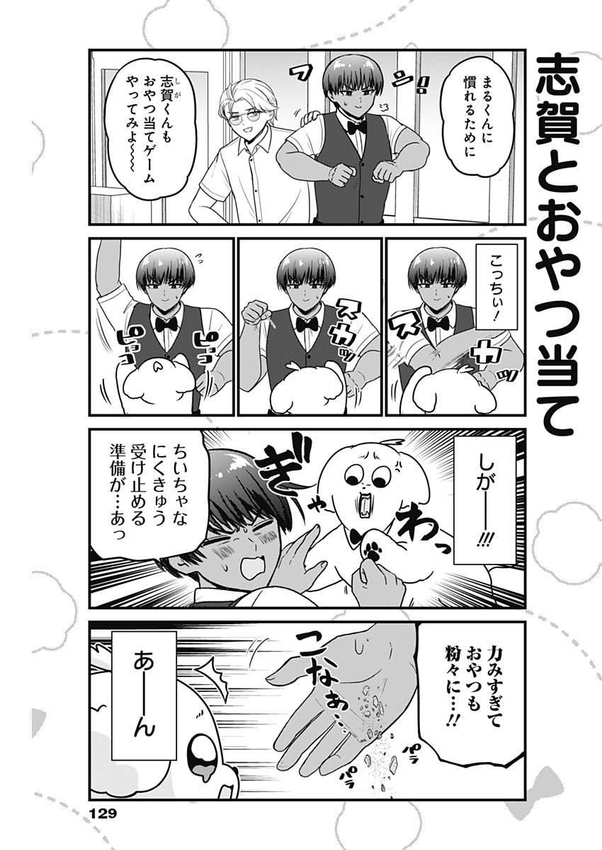 まるくん～はたらくマルチーズ～ 第51話 - Page 5