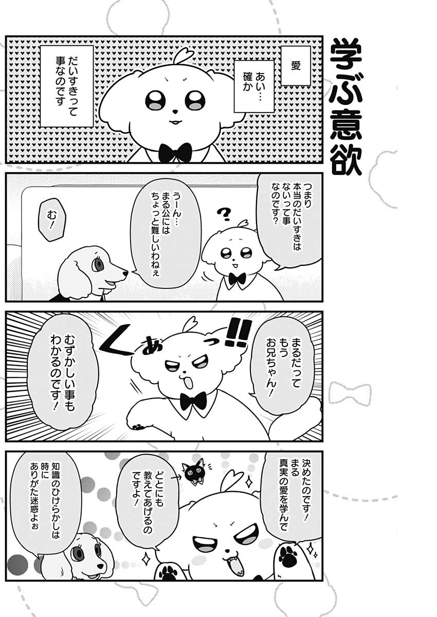 まるくん～はたらくマルチーズ～ 第30話 - Page 2