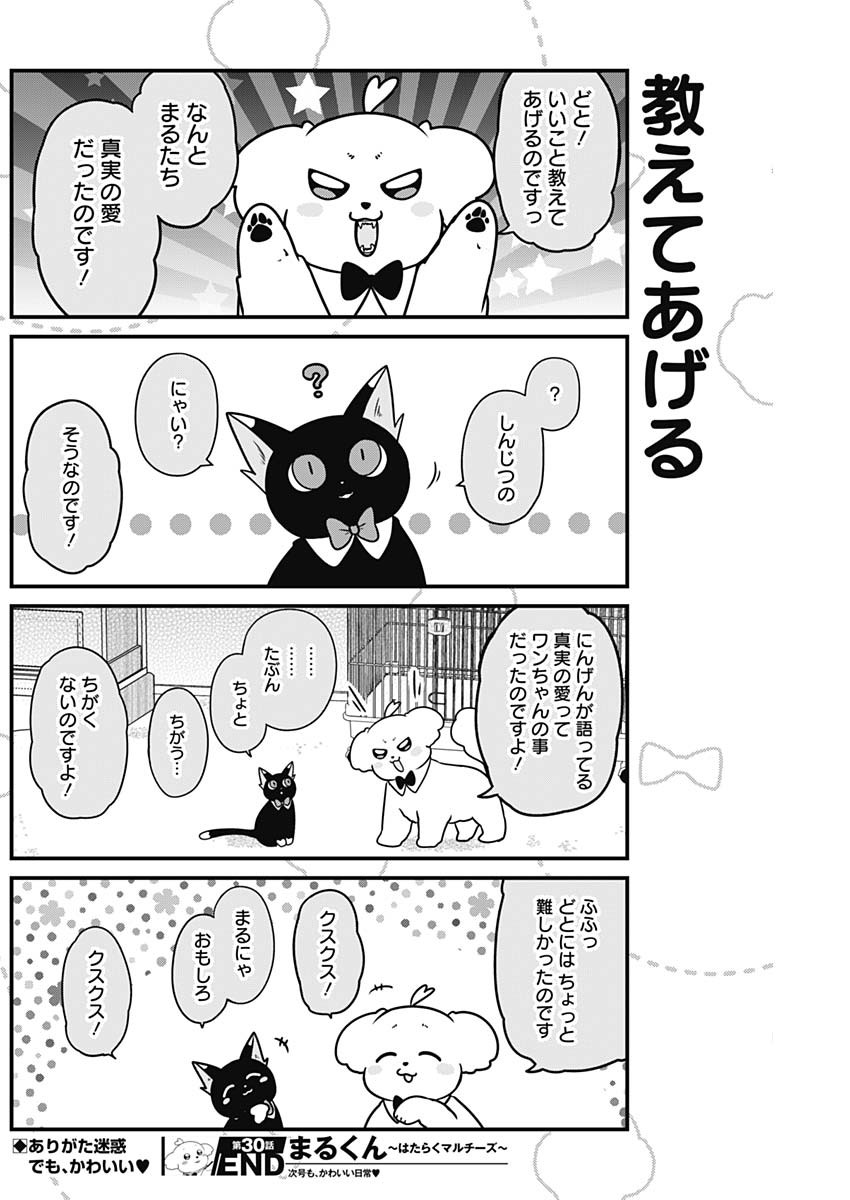 まるくん～はたらくマルチーズ～ 第30話 - Page 8