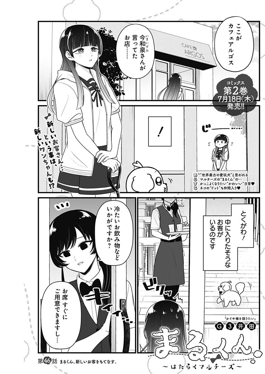 まるくん～はたらくマルチーズ～ 第46話 - Page 1