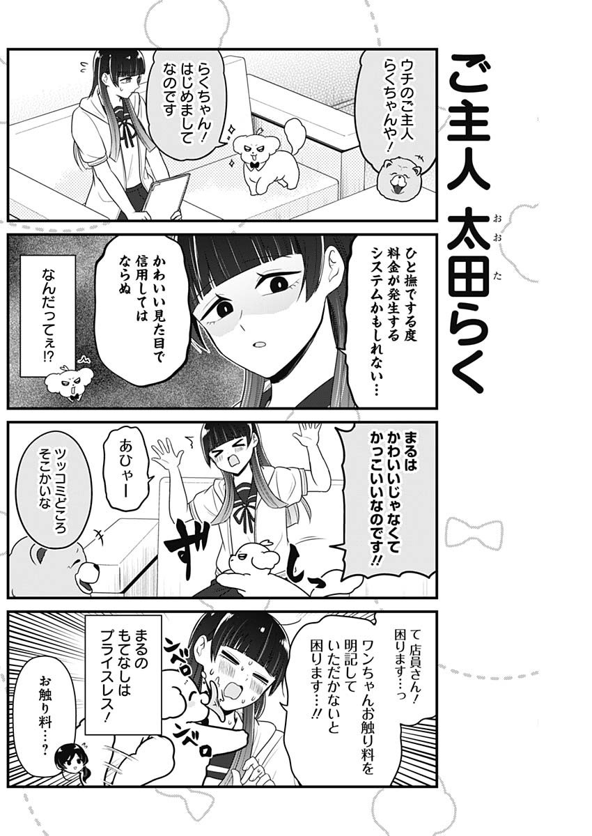 まるくん～はたらくマルチーズ～ 第46話 - Page 6