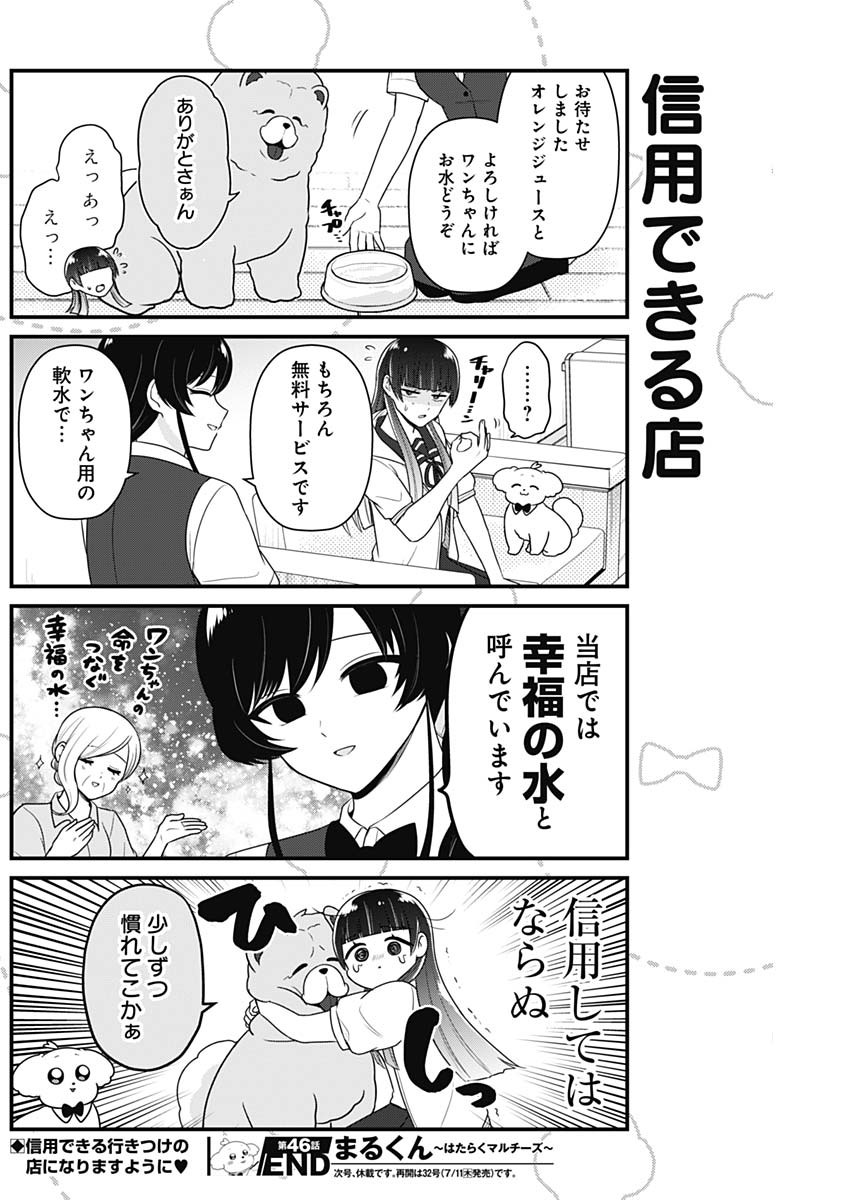 まるくん～はたらくマルチーズ～ 第46話 - Page 8