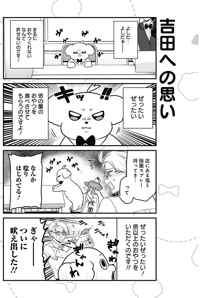 まるくん～はたらくマルチーズ～ 第37話 - Page 5