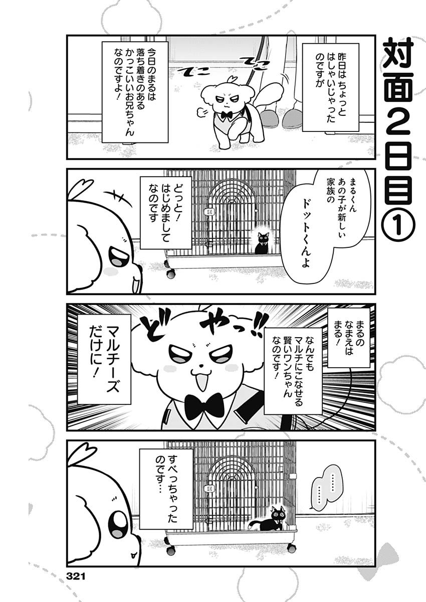 まるくん～はたらくマルチーズ～ 第28話 - Page 3