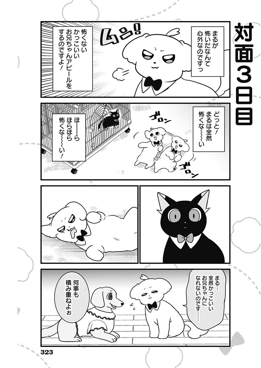 まるくん～はたらくマルチーズ～ 第28話 - Page 5