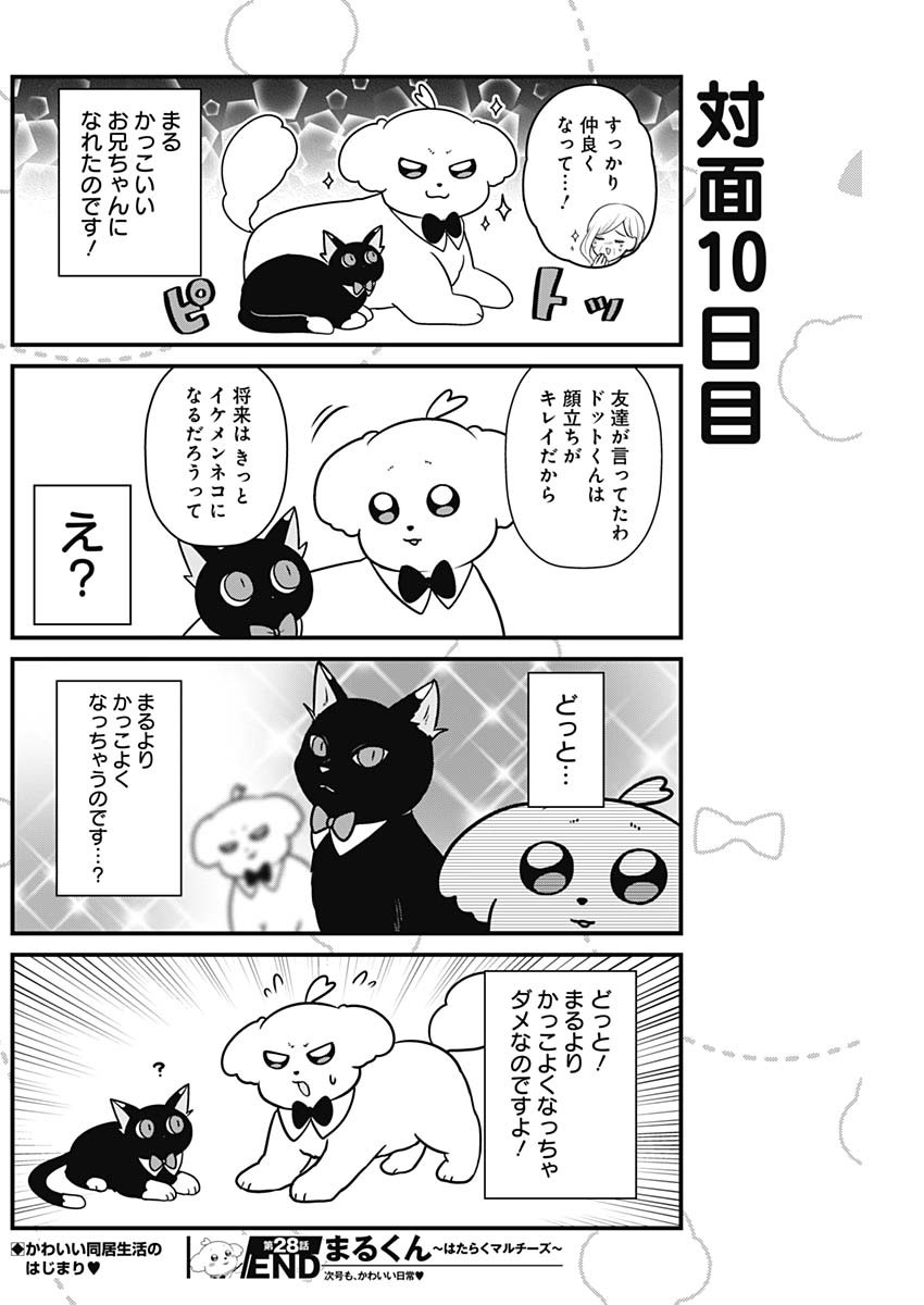 まるくん～はたらくマルチーズ～ 第28話 - Page 8