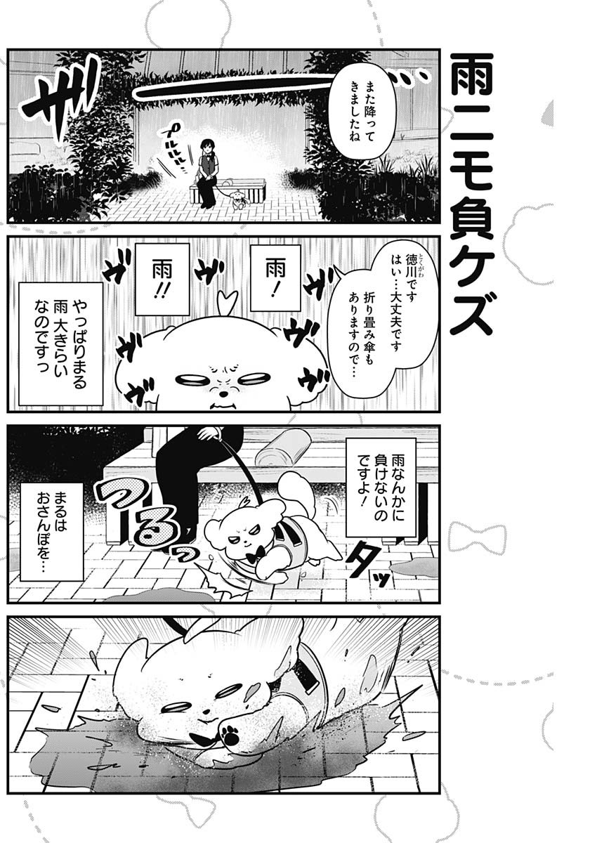 まるくん～はたらくマルチーズ～ 第19話 - Page 2