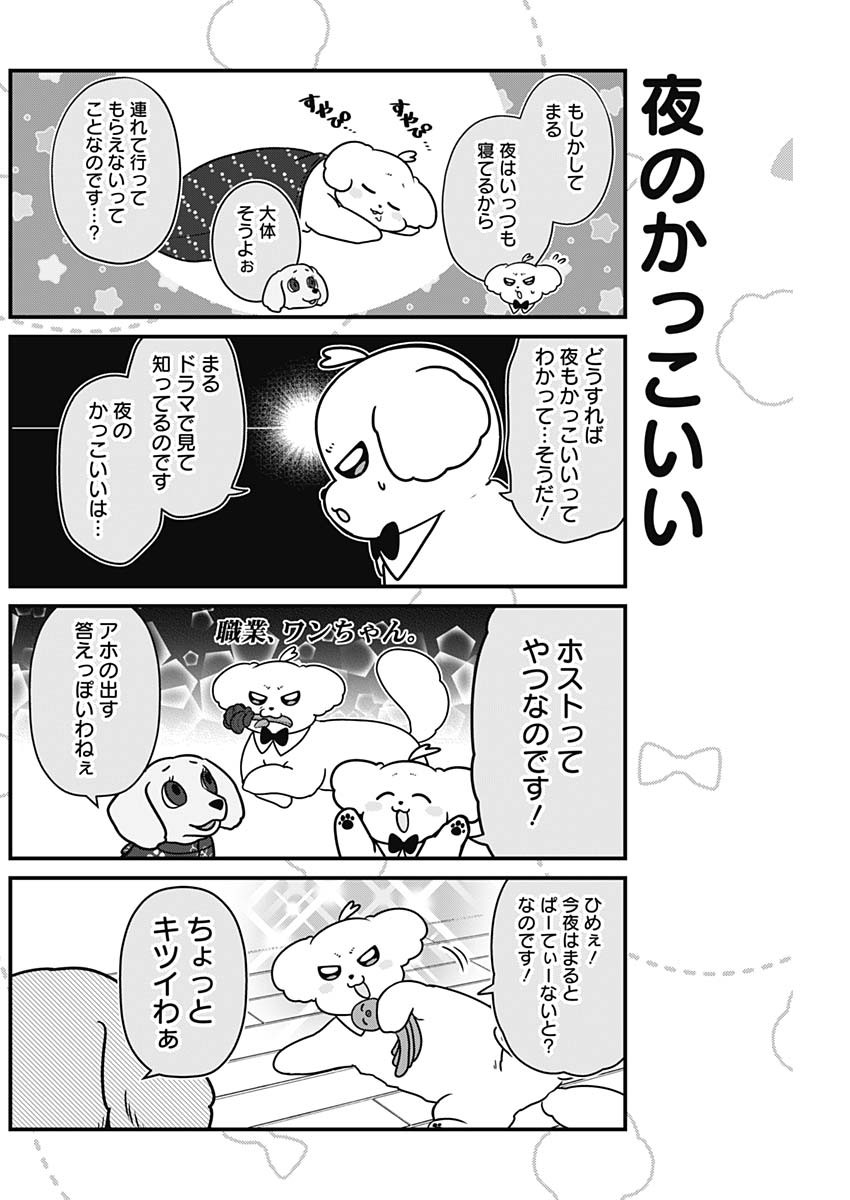 まるくん～はたらくマルチーズ～ 第41話 - Page 4