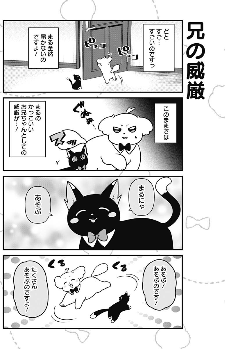 まるくん～はたらくマルチーズ～ 第29話 - Page 2