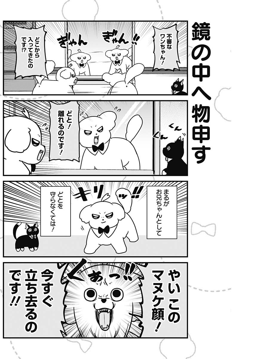 まるくん～はたらくマルチーズ～ 第29話 - Page 4