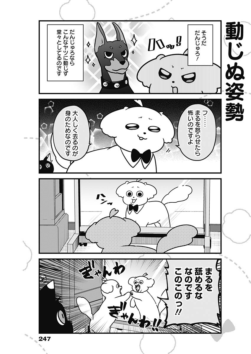 まるくん～はたらくマルチーズ～ 第29話 - Page 5