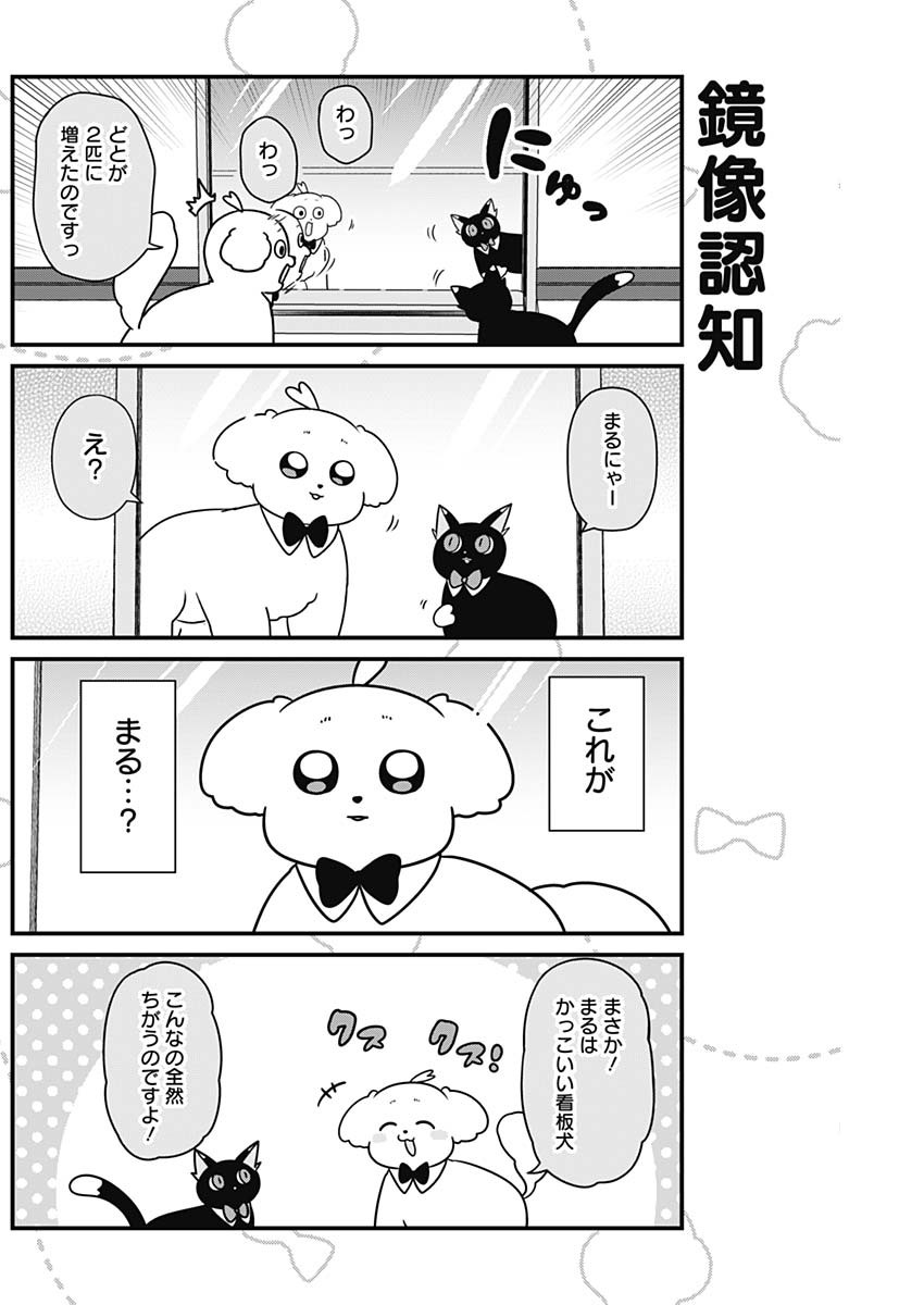 まるくん～はたらくマルチーズ～ 第29話 - Page 6