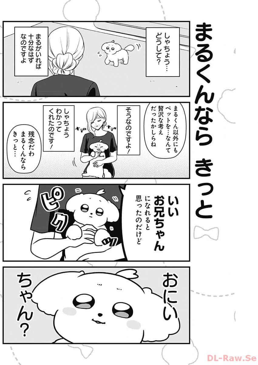 まるくん～はたらくマルチーズ～ 第23話 - Page 6