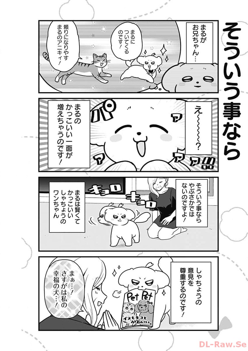 まるくん～はたらくマルチーズ～ 第23話 - Page 7