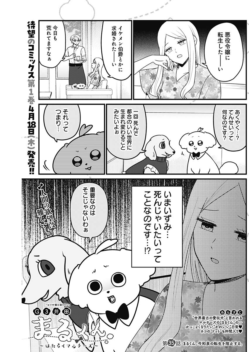 まるくん～はたらくマルチーズ～ 第35話 - Page 1