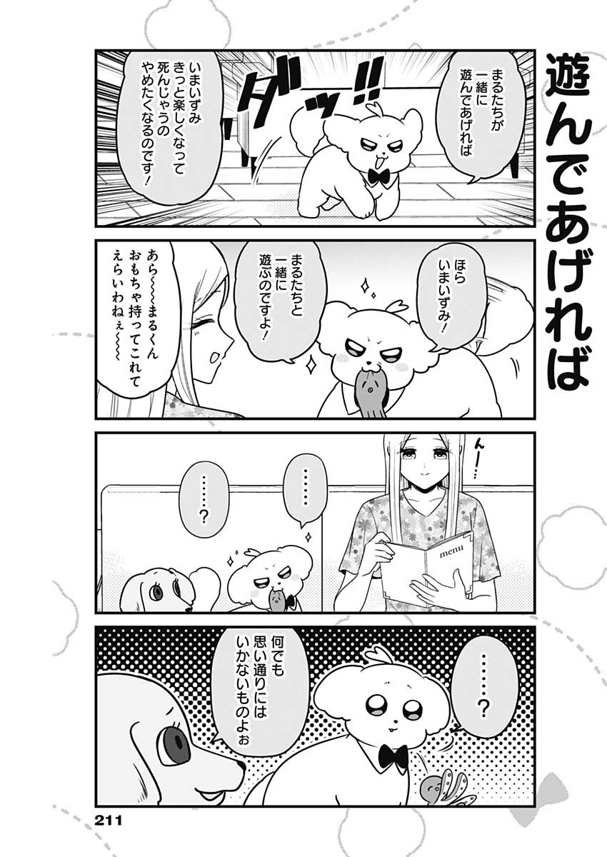 まるくん～はたらくマルチーズ～ 第35話 - Page 3