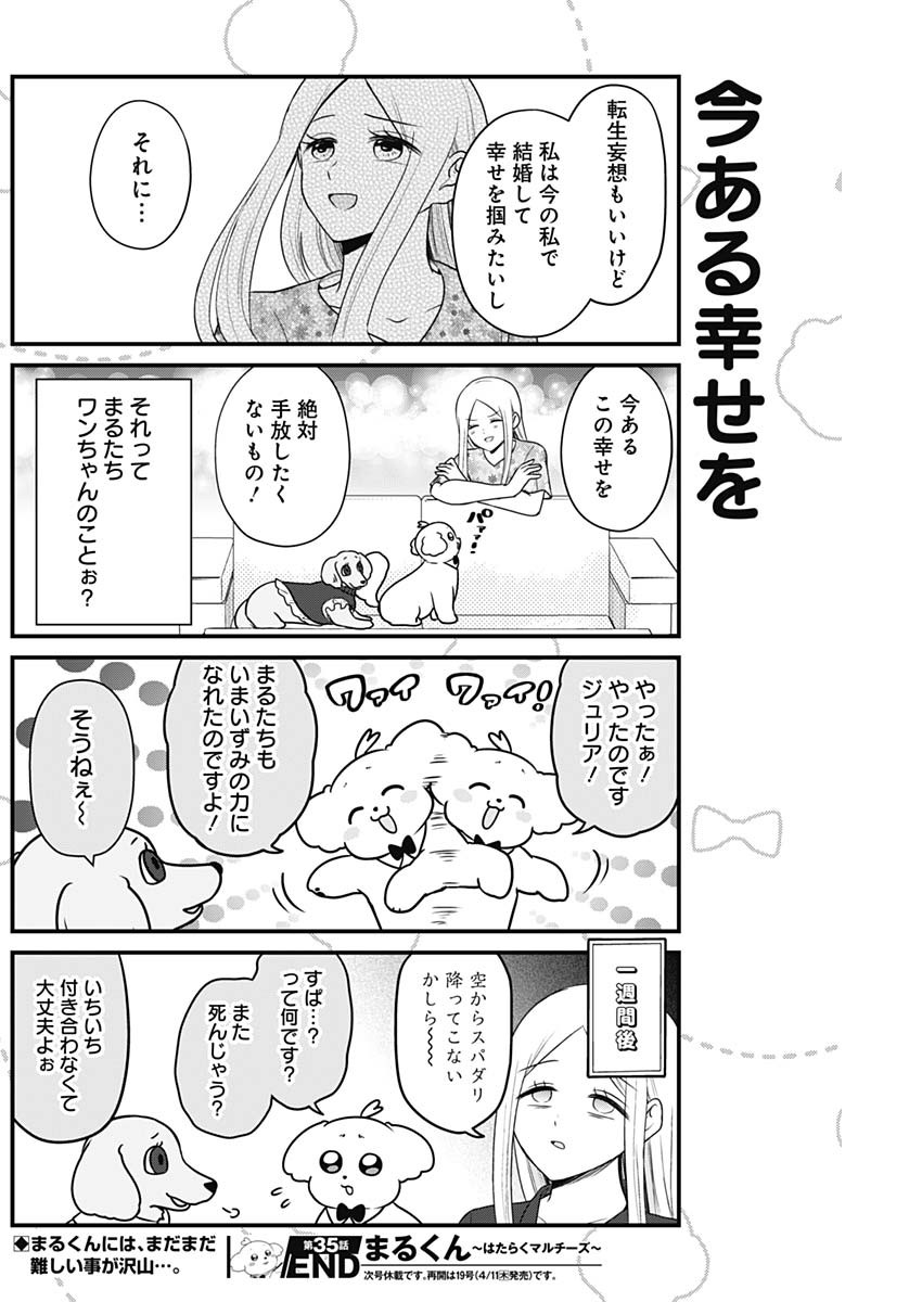 まるくん～はたらくマルチーズ～ 第35話 - Page 8