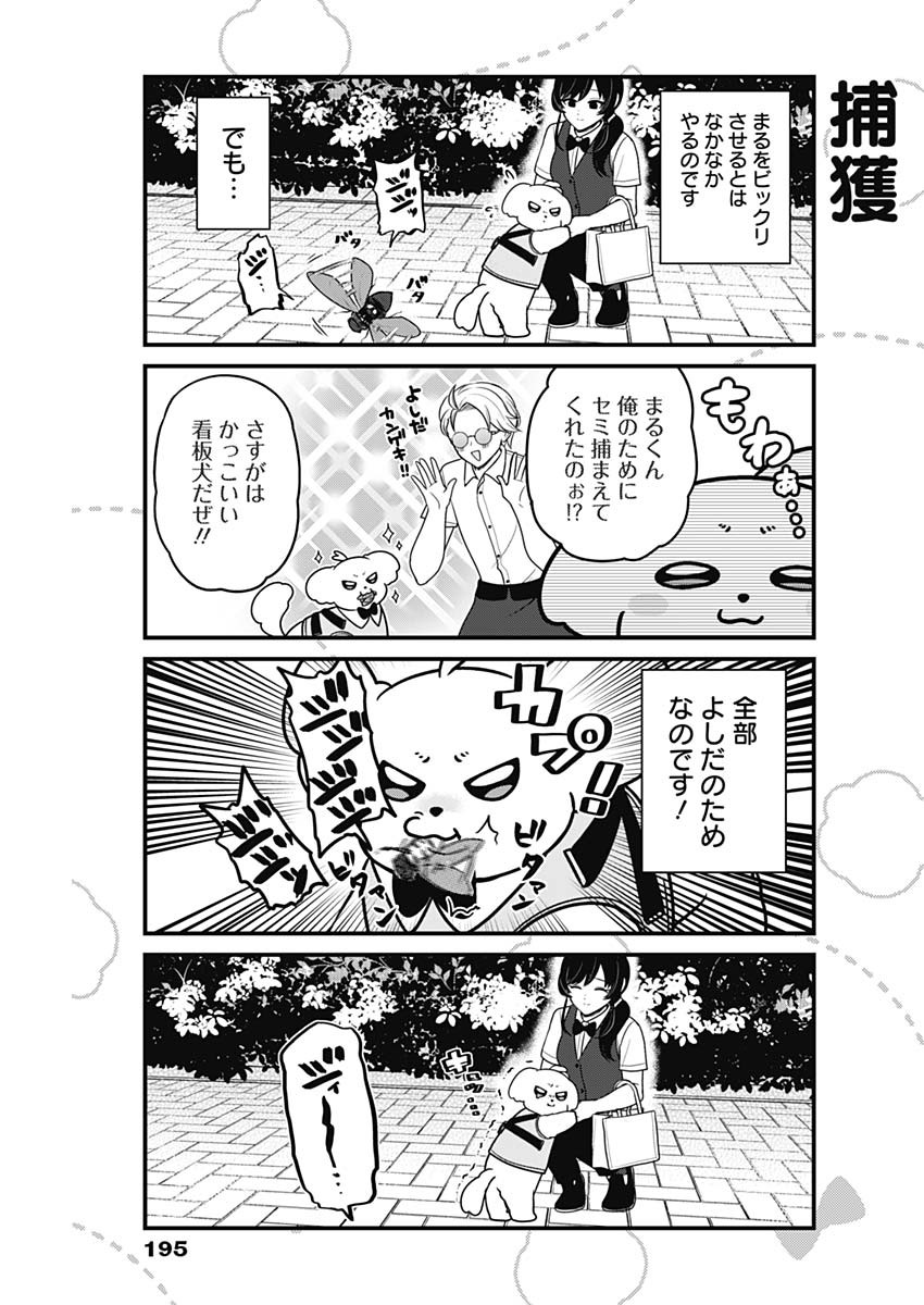 まるくん～はたらくマルチーズ～ 第50話 - Page 5