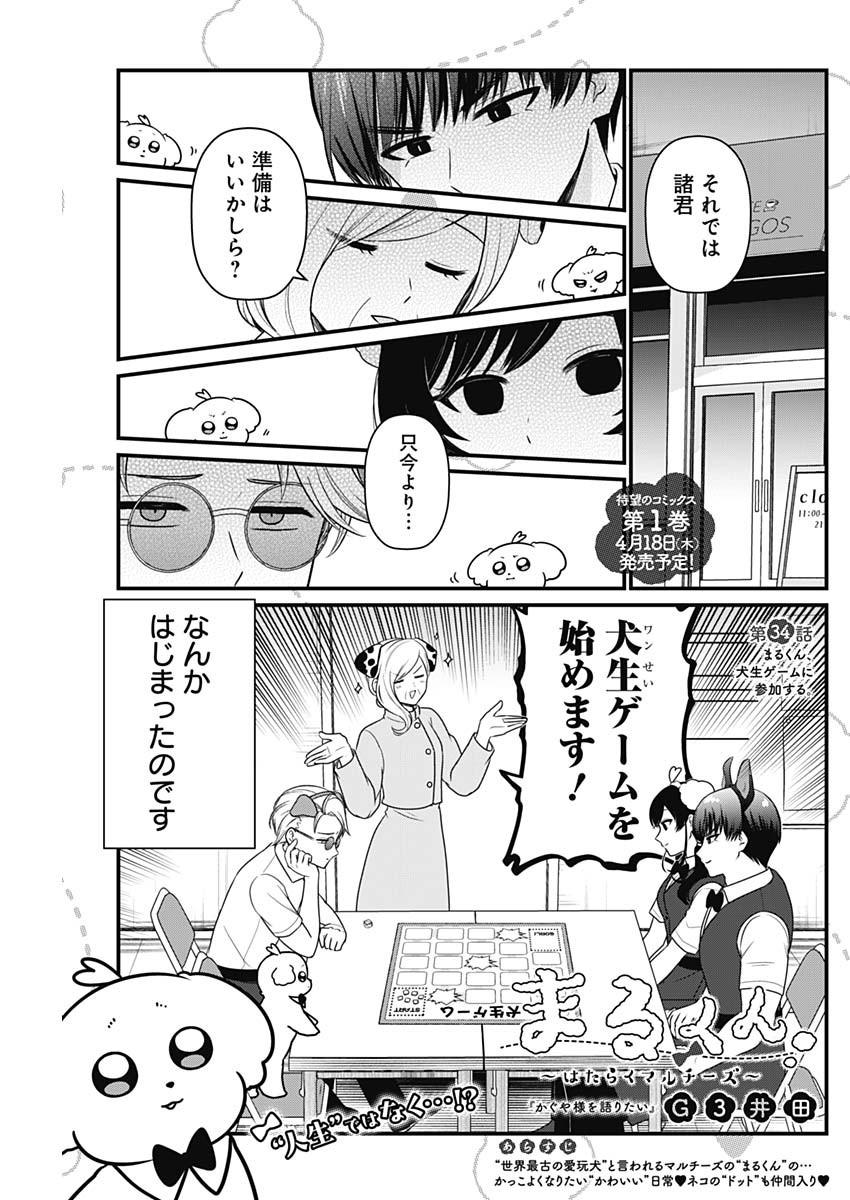 まるくん～はたらくマルチーズ～ 第34話 - Page 1