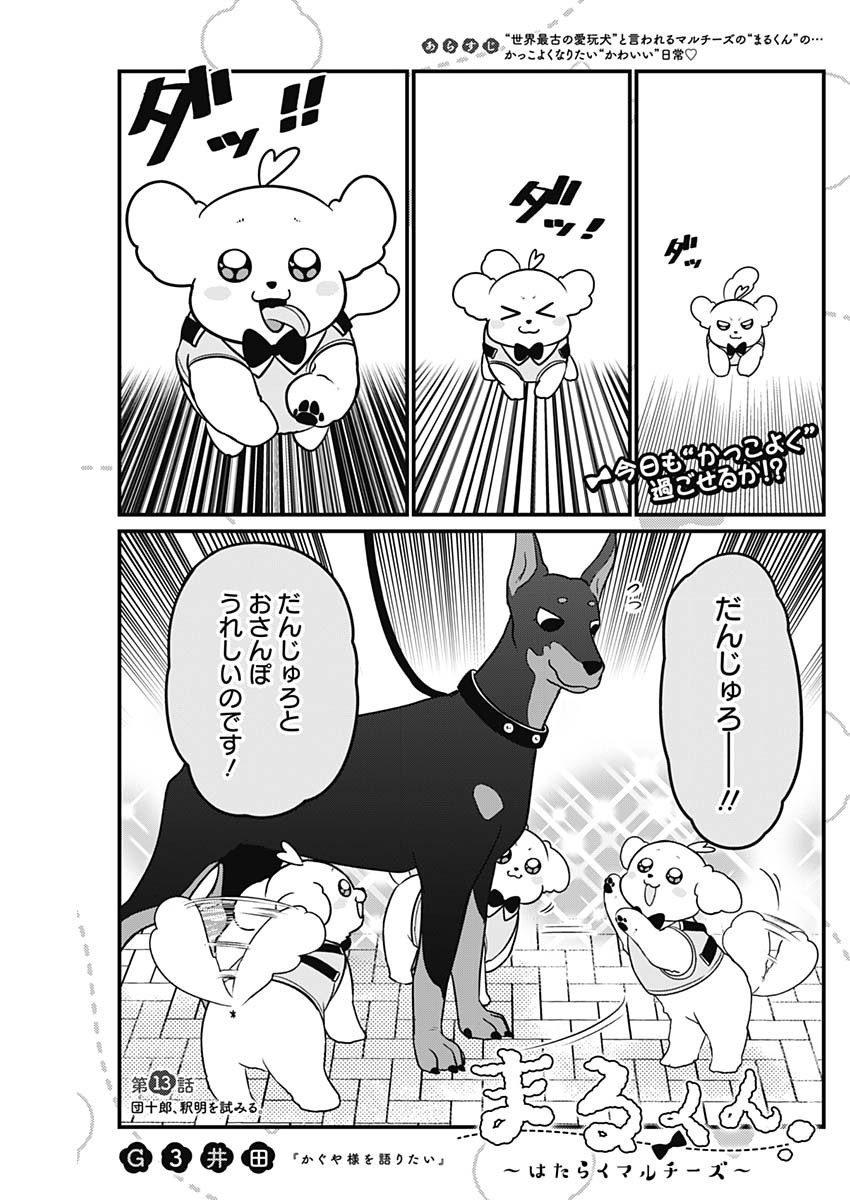 まるくん～はたらくマルチーズ～ 第13話 - Page 1