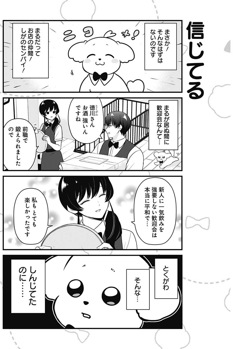 まるくん～はたらくマルチーズ～ 第11話 - Page 2