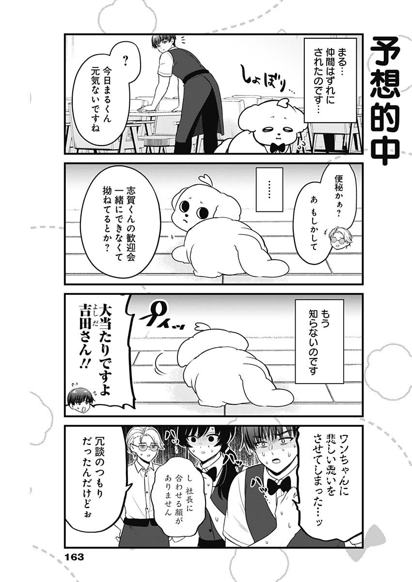 まるくん～はたらくマルチーズ～ 第11話 - Page 3