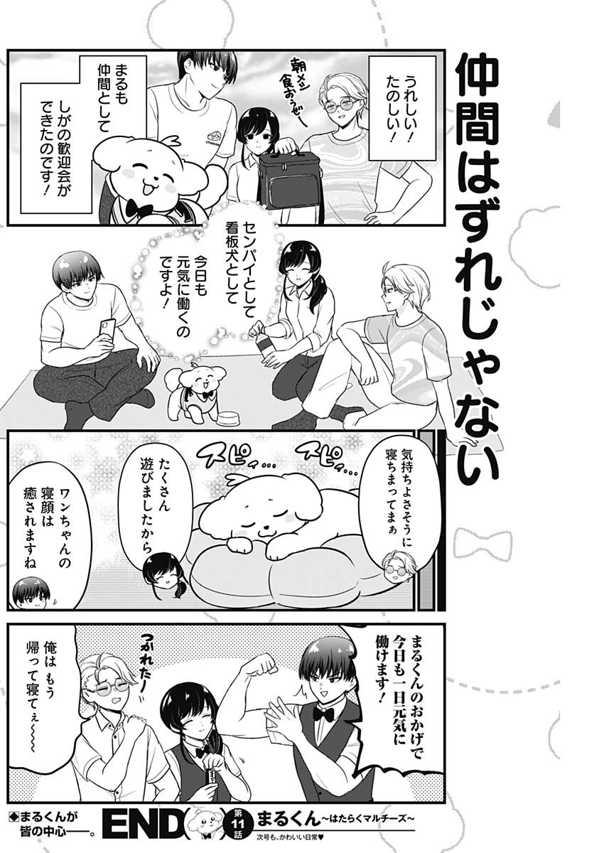 まるくん～はたらくマルチーズ～ 第11話 - Page 8