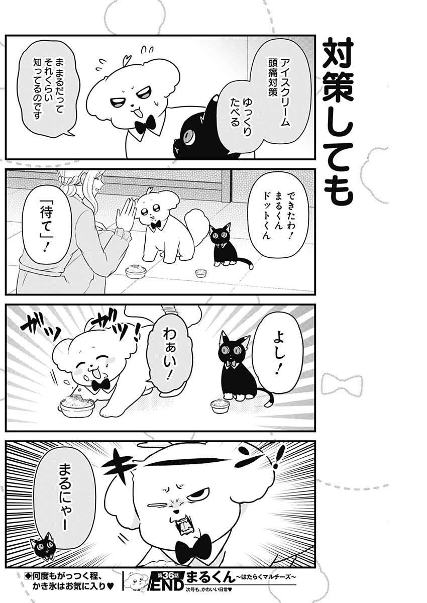 まるくん～はたらくマルチーズ～ 第36話 - Page 8